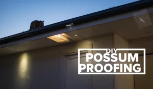 DIY Possum Proofing