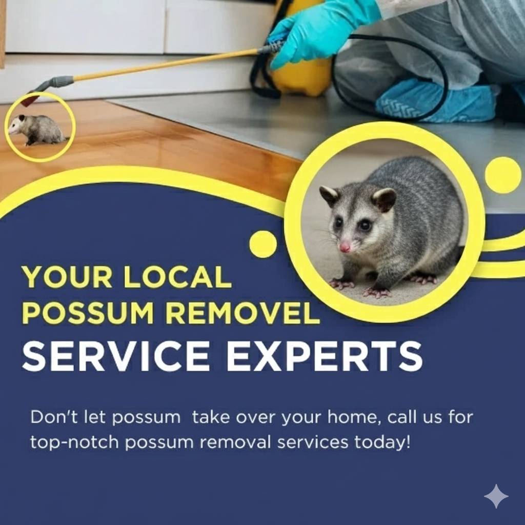 Your Professional Possum Removal Service Experts